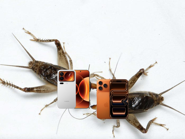 Cyber Cricket Fighting