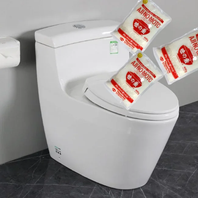 Toilet and MSGs